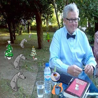 Apresentação para décimo ano de 201...