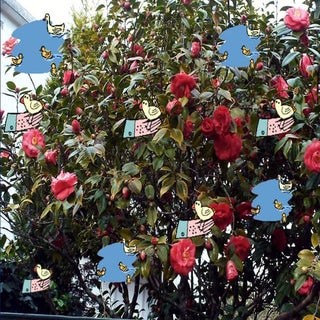 Apresentação para décimo ano de 201...