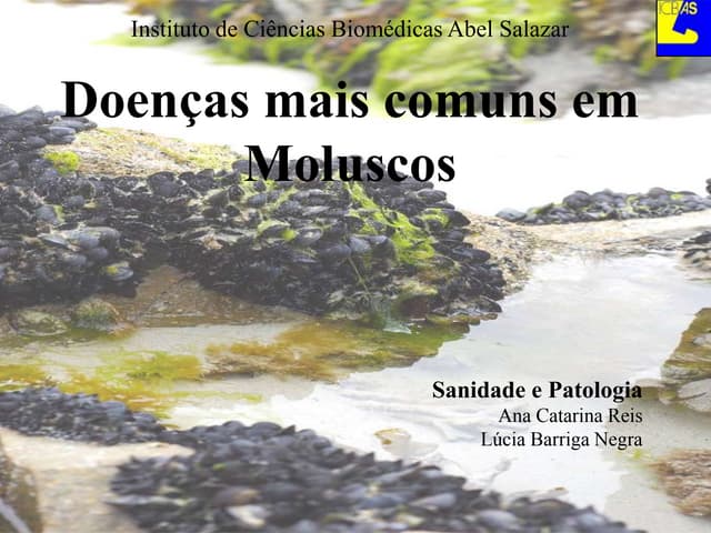 Doenças mais comuns em Moluscos | PPTX