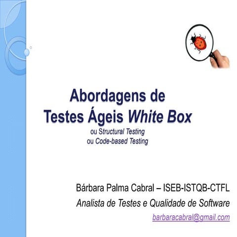 Apresentação testes white box