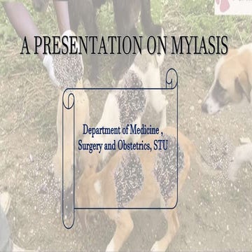 A PRESENTATION ON MYIASIS.pptx