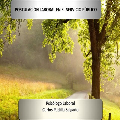 Confección Curricular para Derivación Laboral en el Servicio Público
