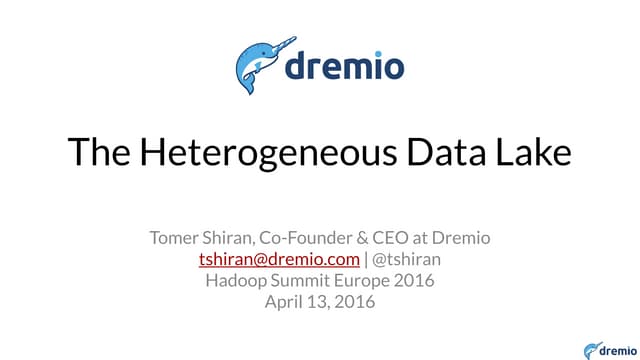 The Heterogeneous Data lake