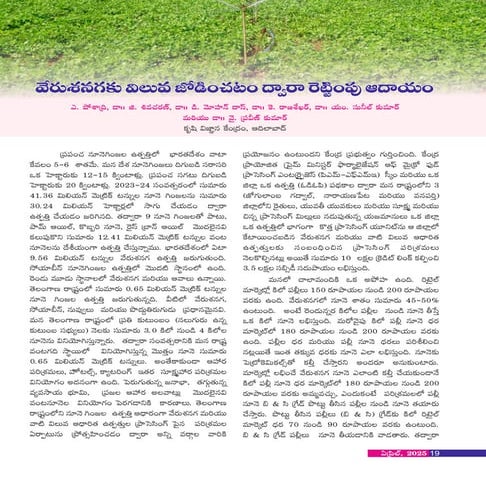 Value addition to groundnut- Primary processing