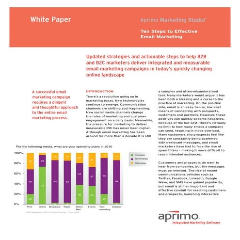 Aprimo 10 steps_to_effective_email_marketing_wp_05-14-10