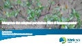thumbnail of  Mangrove dan Adaptasi Perubahan Iklim di Kawasan Pesisir (Mangroves and Climate Change Adaptation in Coastal Areas)