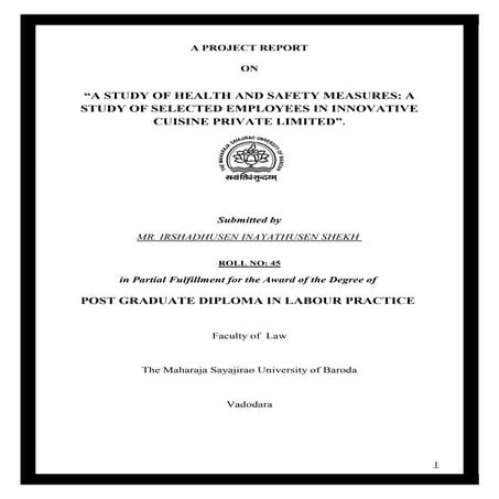 Project report on Health & Safety 