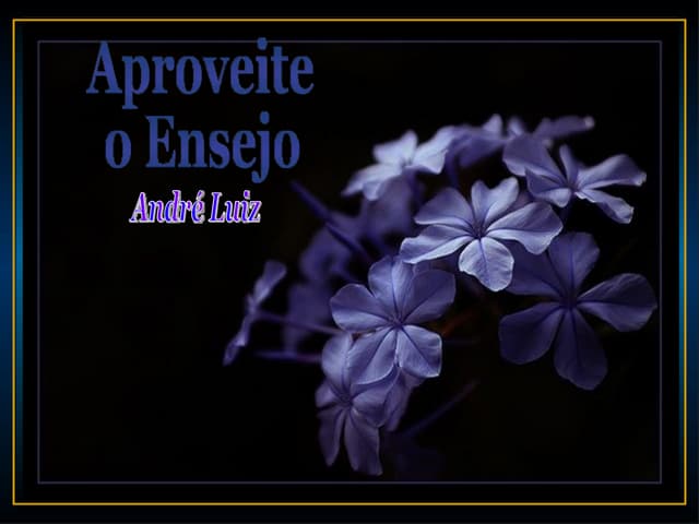 Aproveite o ensejo (andré luiz) | PPS