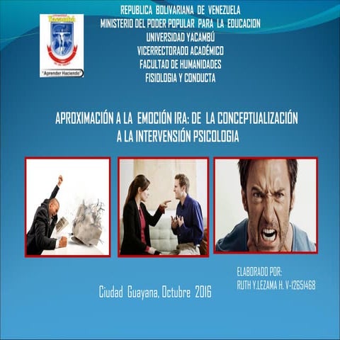 Aproximación a la  ira  ruth lezama