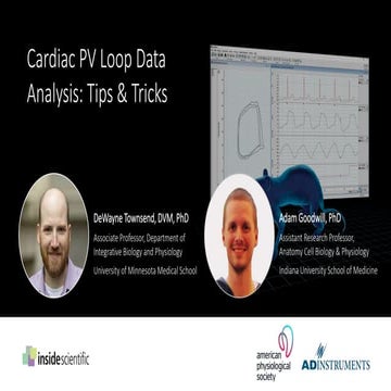 Cardiac PV Loop Data Analysis: Tips & Tricks | PPTX