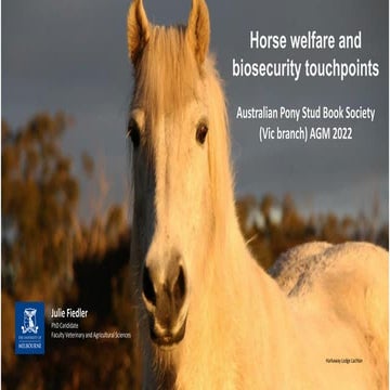 Horse welfare and biosecurity touchpoints | PDF