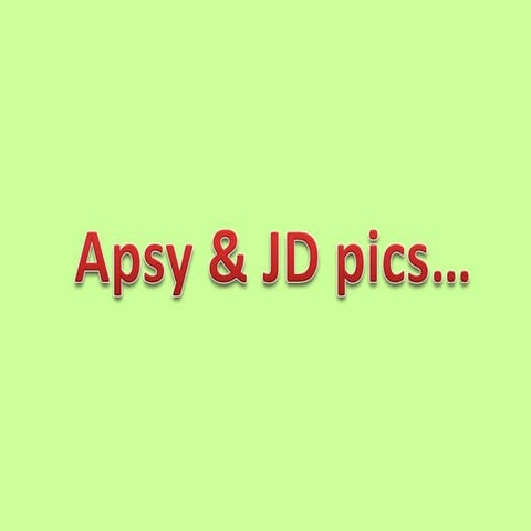 Apsy & JD Pics
