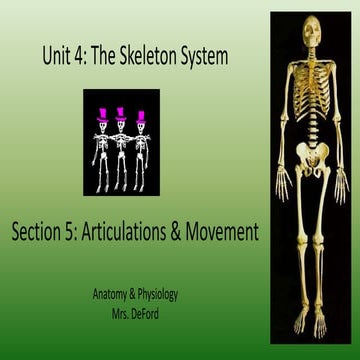 APU4.5 Skeleton System (Articulations & Movement)