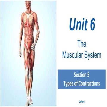 Types of Muscle Action | PDF