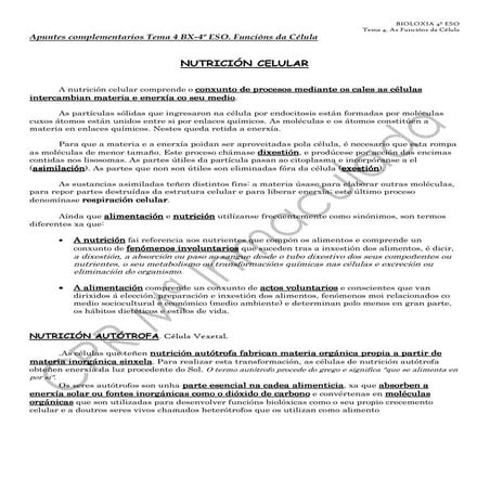 Apuntes complementarios tema 4 bx4 eso