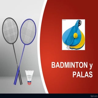 Apuntes deportes de raqueta