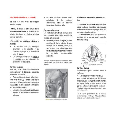 Apuntes de otorrinología rama medica_S2.pdf