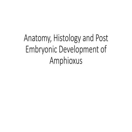 APznzaY_4mPmp24MDNFWO-ca6ph_KwNNZfAds17Nu5C_C-YKiVdh8XVT9cQKjlRoXJoJP1MrtKr8i...