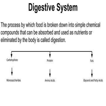 ptaniiiiiiiiiiiiiiiiiiiiiiiiiiiiiiiiiiiiiiiiiiiiiiii