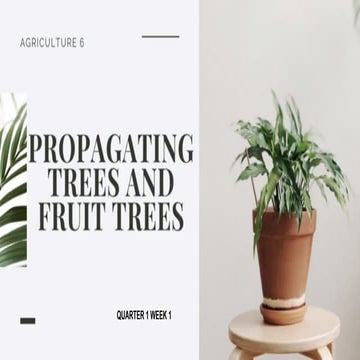 Q1W1TLE6 Importance of Trees & Famous Orchard Growers.pptx