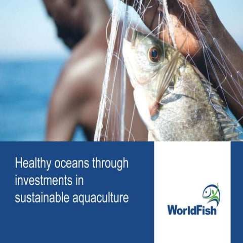 Healthy oceans through investments in sustainable aquaculture 