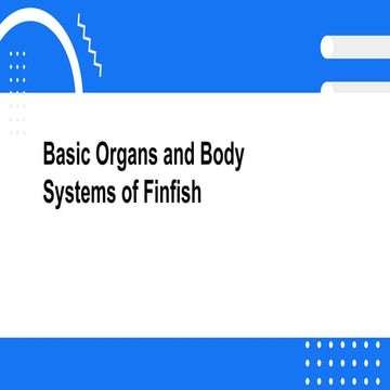 Aquaculture basics module 3 body sistems