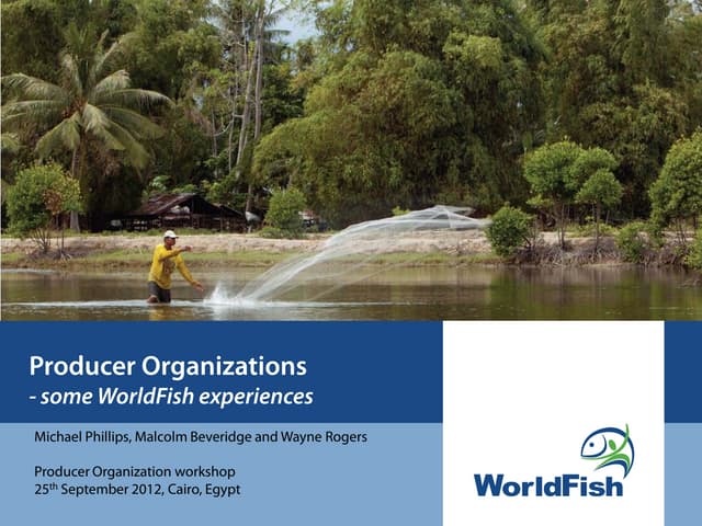 Producer Organizations - some WorldFish Experiences