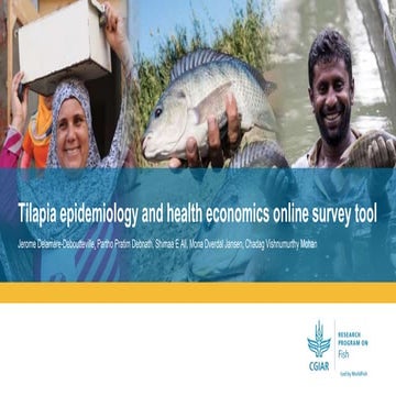 Tilapia epidemiology and health economics online survey tool