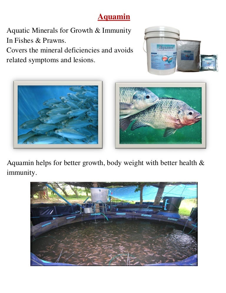 Aquaculture feed supplements