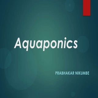 Aquaponics