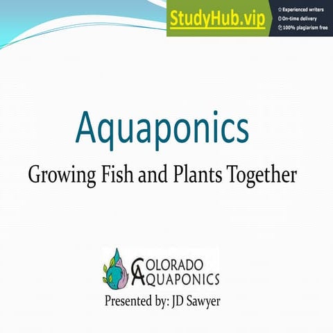 Aquaponics Growing Fish And Plants Together