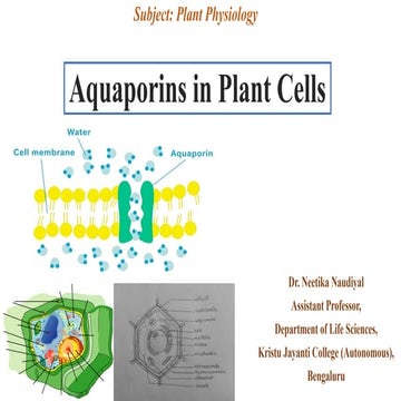 Aquaporins structure and function presentation
