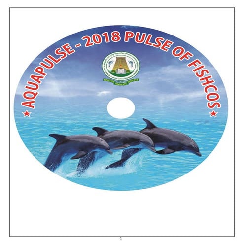 AQUAPULSE - MAGAZINE