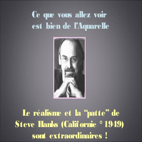 Aquarelles