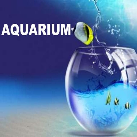 Aquarium