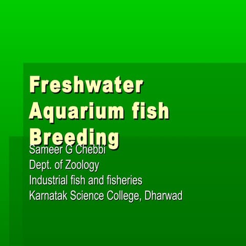 Aquarium fish breeding
