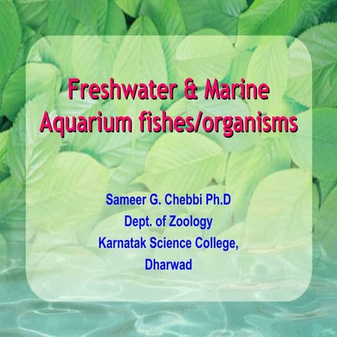 Aquarium fish and Marine aquarium fish and Marine ornamental organisms 