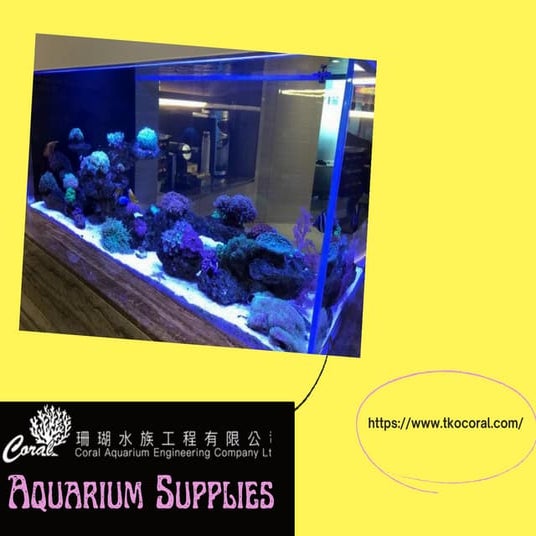 Aquarium supplies PPT