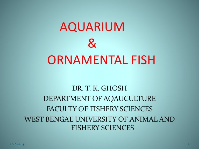 Aquarium and ornamental fish ppt
