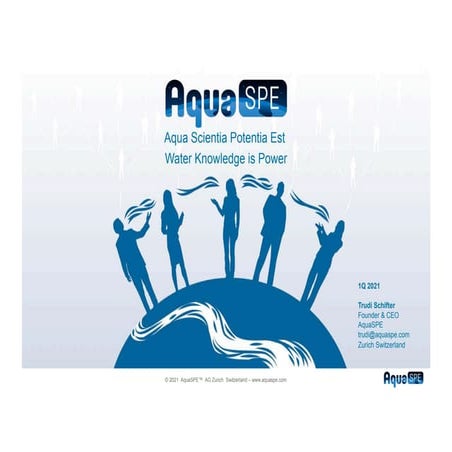 The Water Network by AquaSPE AG | PDF