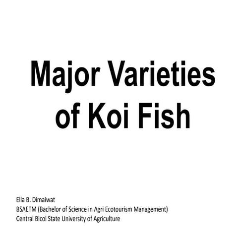 Major Varieties of Koi Fish
