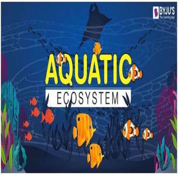 The Aquatic Ecosystem of our Earth Planet
