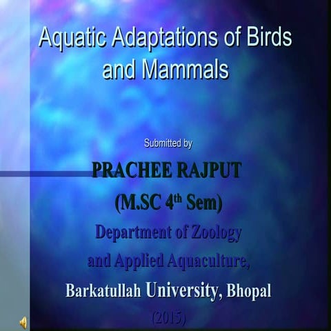 Aquatic adaptations in birds and mammals