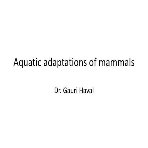 Aquatic adaptations of mammals