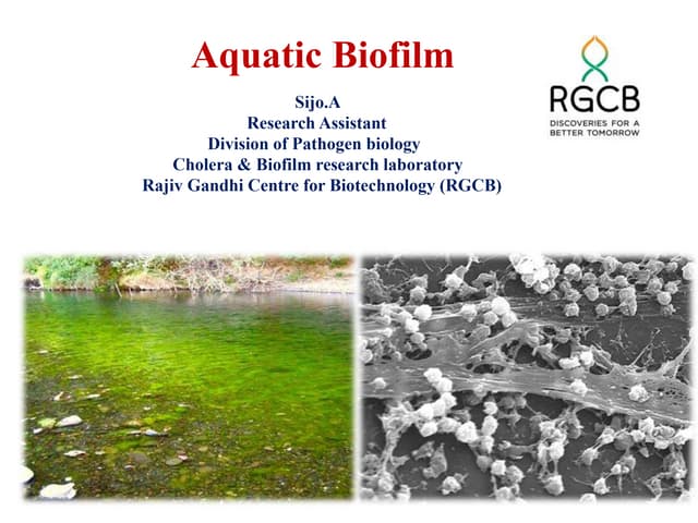 Aquatic Biofilm : Biotechnology 