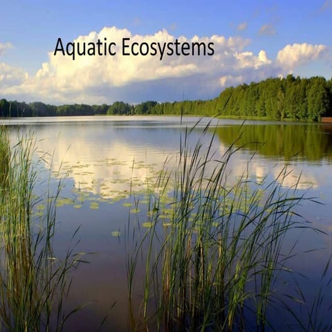 Aquatic ecosystem and water pollution 