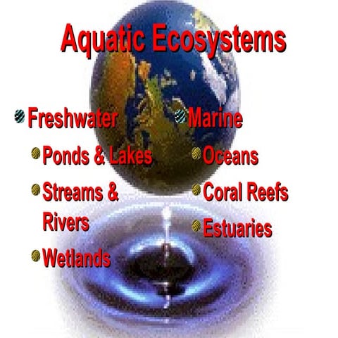 Aquatic ecosystems