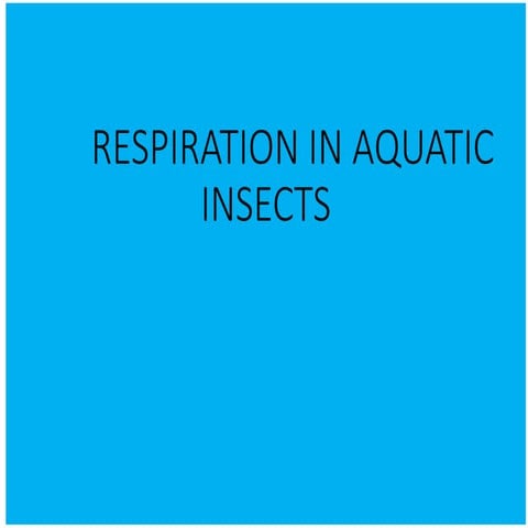 Aquatic Insects