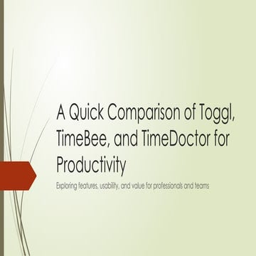 Toggl vs TimeBee vs Hubstaff: A Simple Time Tracking Comparison | PDF