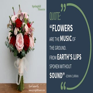 A Quotography on Flowers